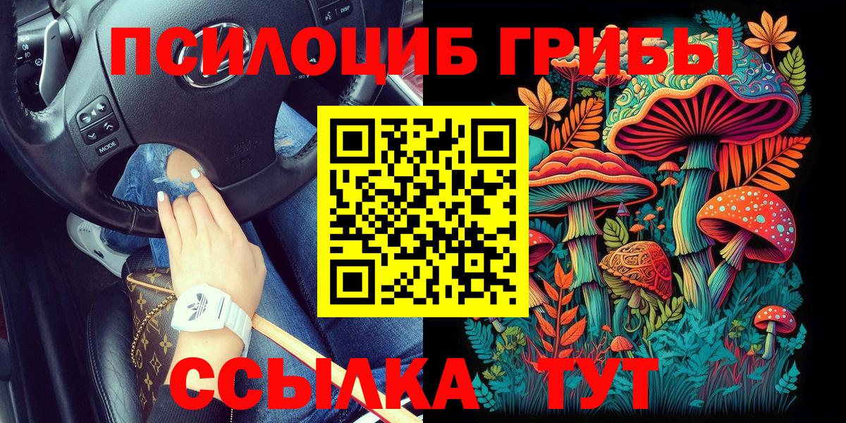 Галлюциногенные грибы прущие грибы Моздок